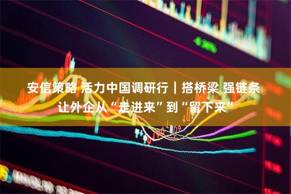 安信策略 活力中国调研行｜搭桥梁&#32;强链条&#32;让外企从“走进来”到“留下来”