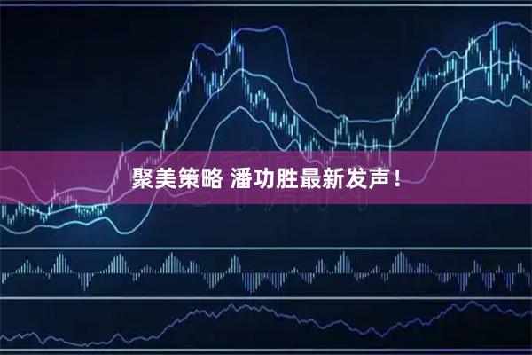 聚美策略 潘功胜最新发声！