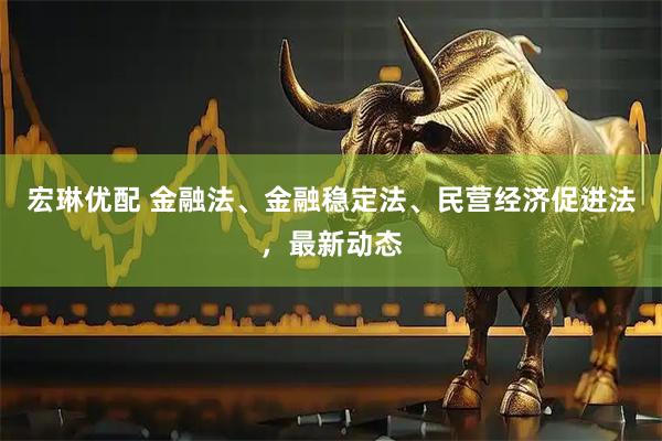 宏琳优配 金融法、金融稳定法、民营经济促进法，最新动态
