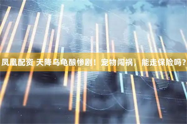 凤凰配资 天降乌龟酿惨剧！宠物闯祸，能走保险吗？
