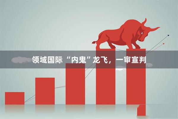 领域国际 “内鬼”龙飞，一审宣判