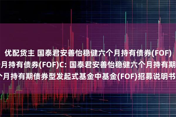 优配货主 国泰君安善怡稳健六个月持有债券(FOF)A,国泰君安善怡稳健六个月持有债券(FOF)C: 国泰君安善怡稳健六个月持有期债券型发起式基金中基金(FOF)招募说明书(更新)(2025年第1号)