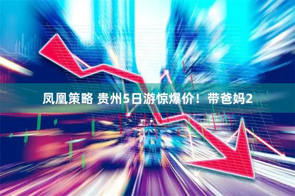 凤凰策略 贵州5日游惊爆价！带爸妈2