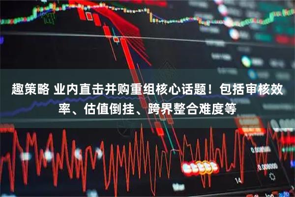 趣策略 业内直击并购重组核心话题！包括审核效率、估值倒挂、跨界整合难度等